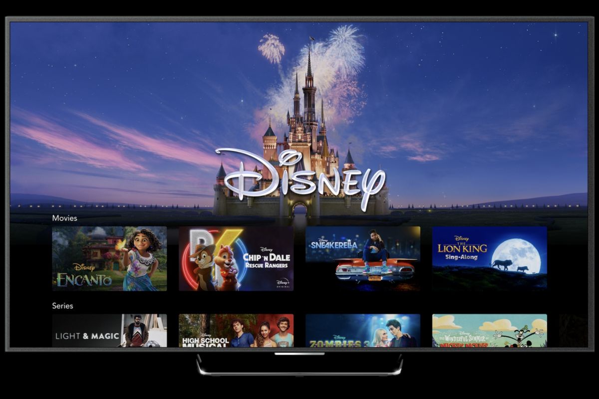 Disney Plus mulai perbuatan pengguna yang mana yang dimaksud berbagi “password” ke Juni 2024